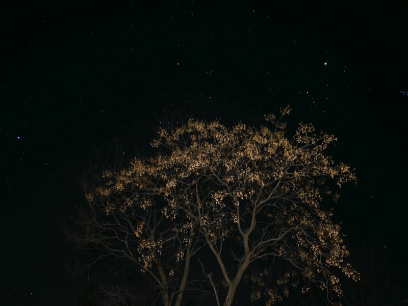 Nature