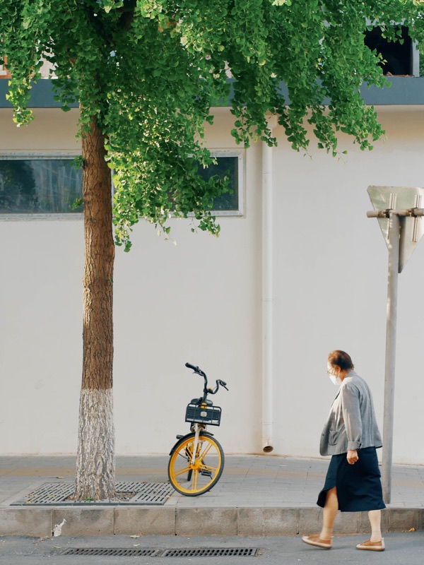 Street